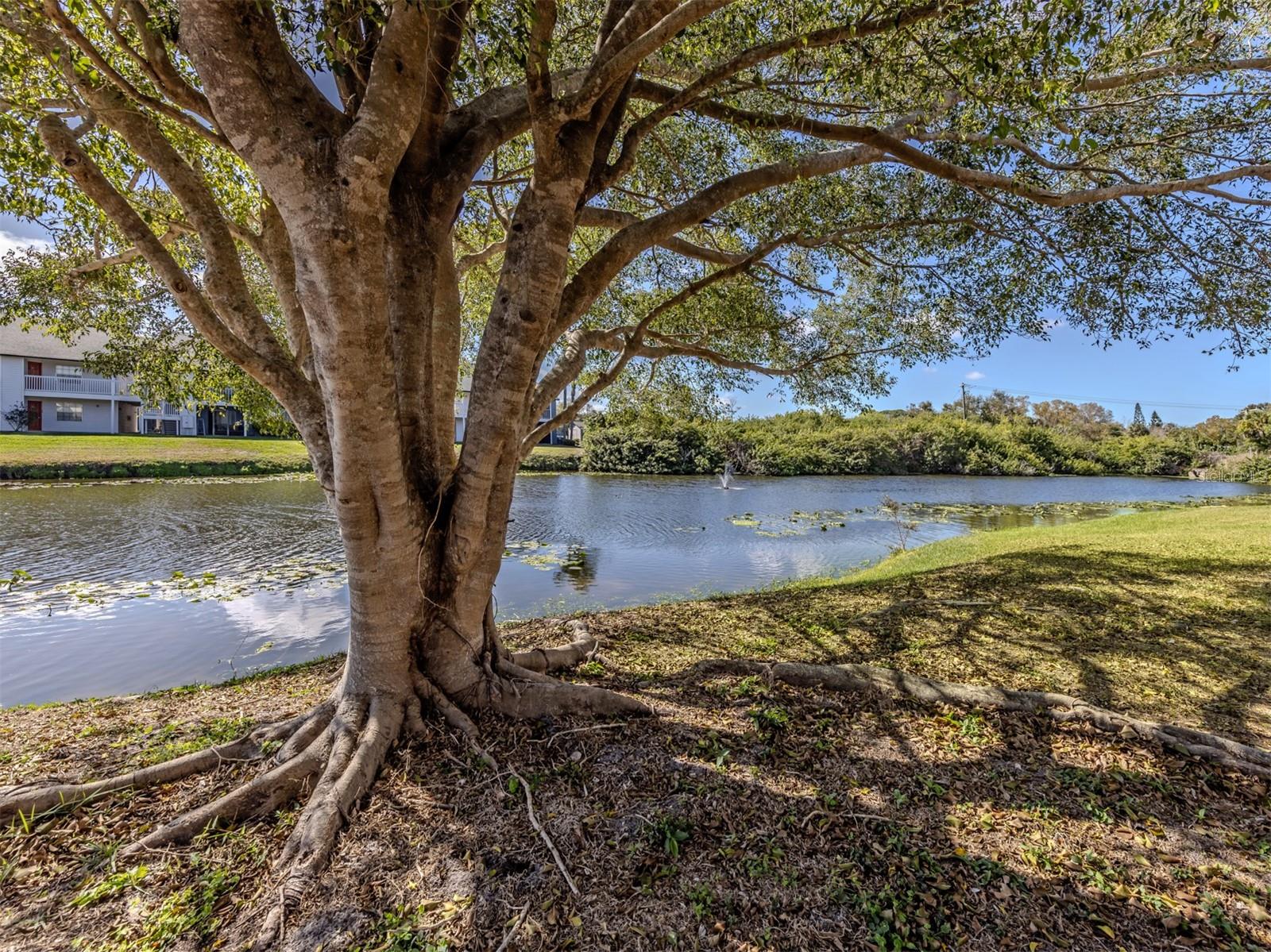 Image 22 of 63 For 2616 Hidden Lake Drive N A