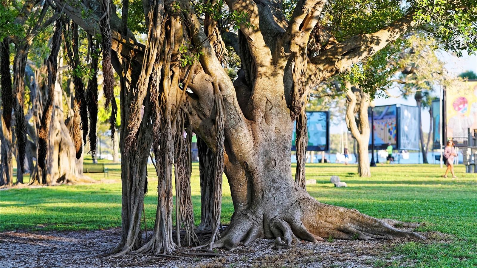 Image 33 of 48 For 211 Cosmopolitan Court 211