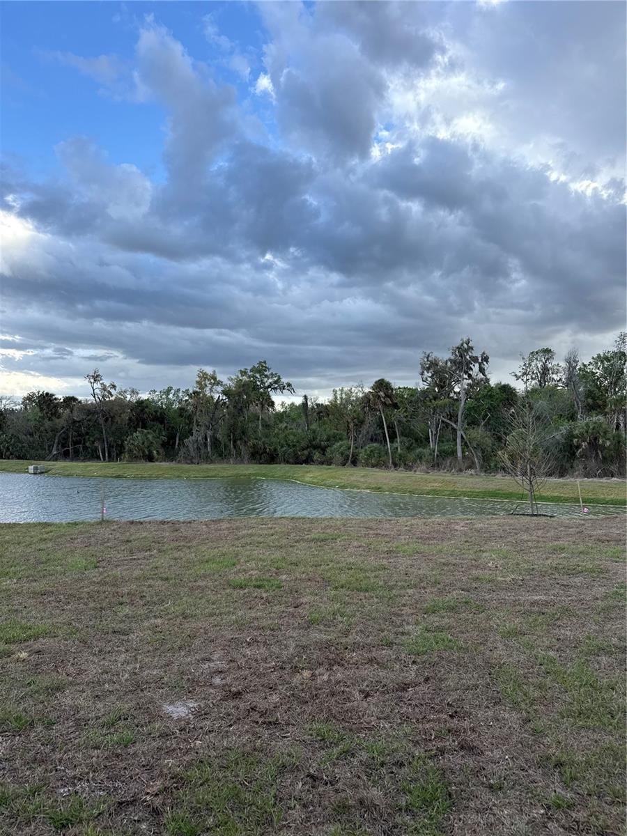 Image 10 of 11 For 13111 Sassafras Trail