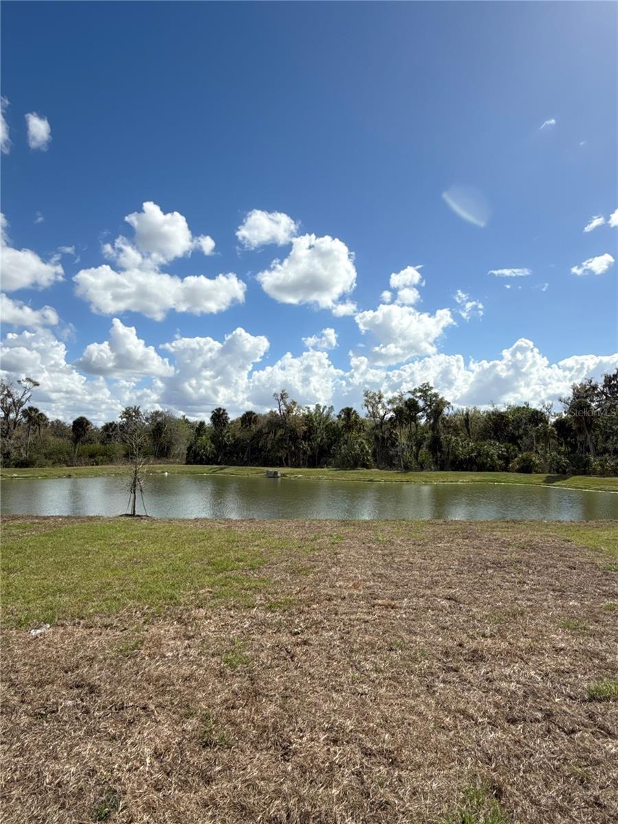 Image 13 of 14 For 13123 Sassafras Trail