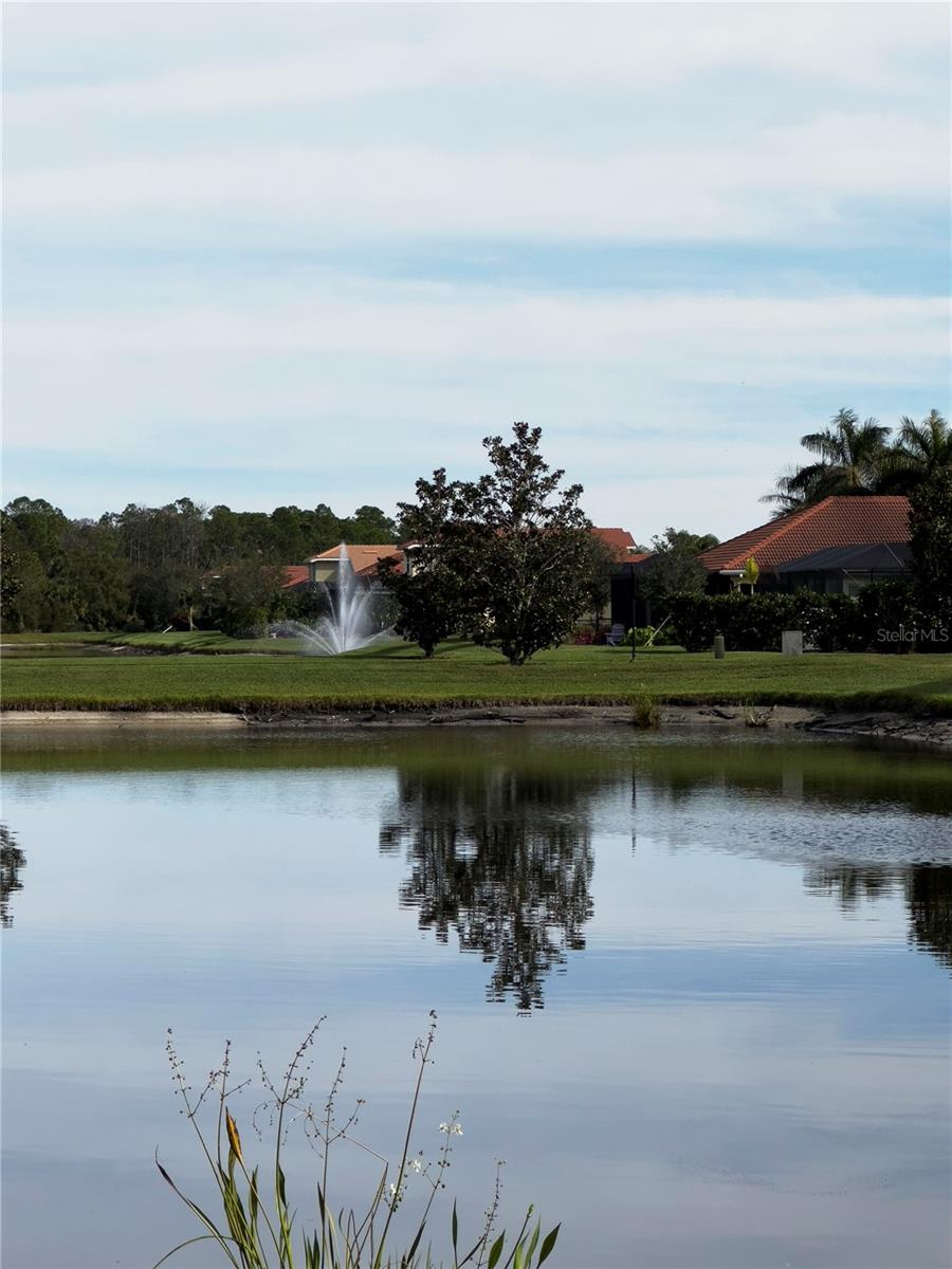 Image 36 of 39 For 11487 Blackfin Street