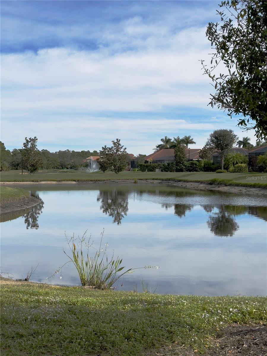 Image 37 of 39 For 11487 Blackfin Street