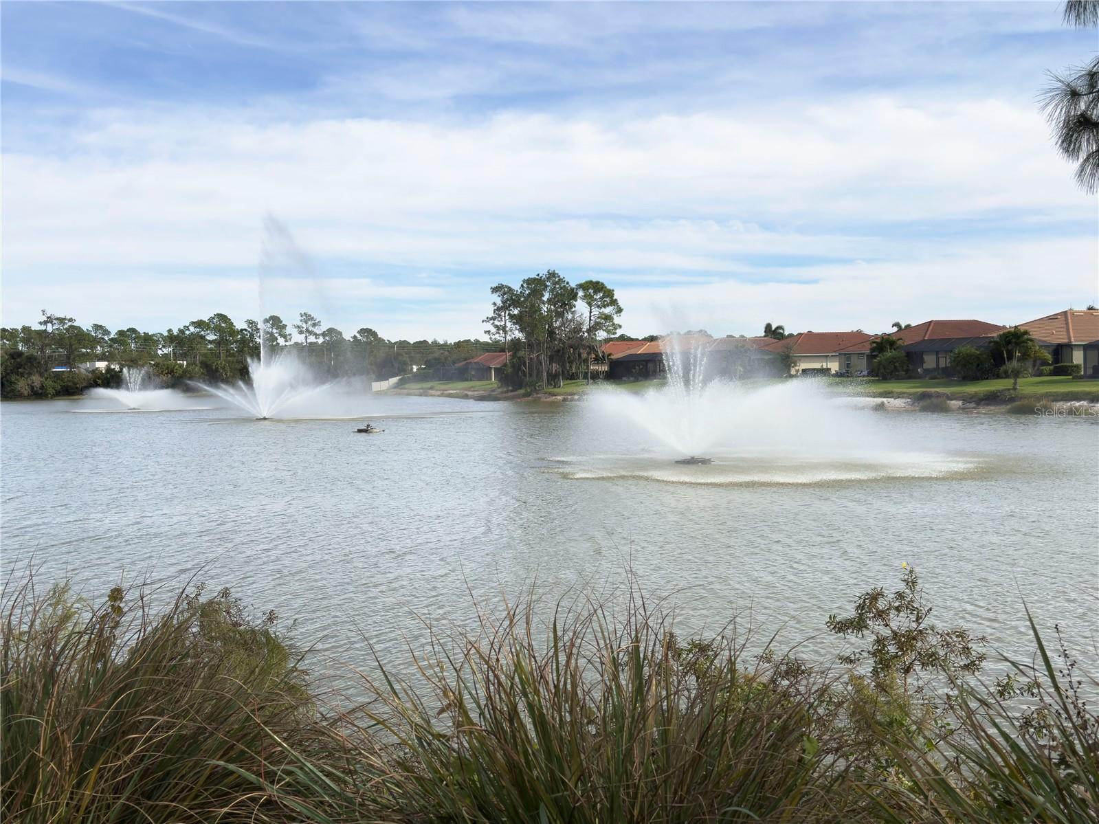 Image 39 of 39 For 11487 Blackfin Street