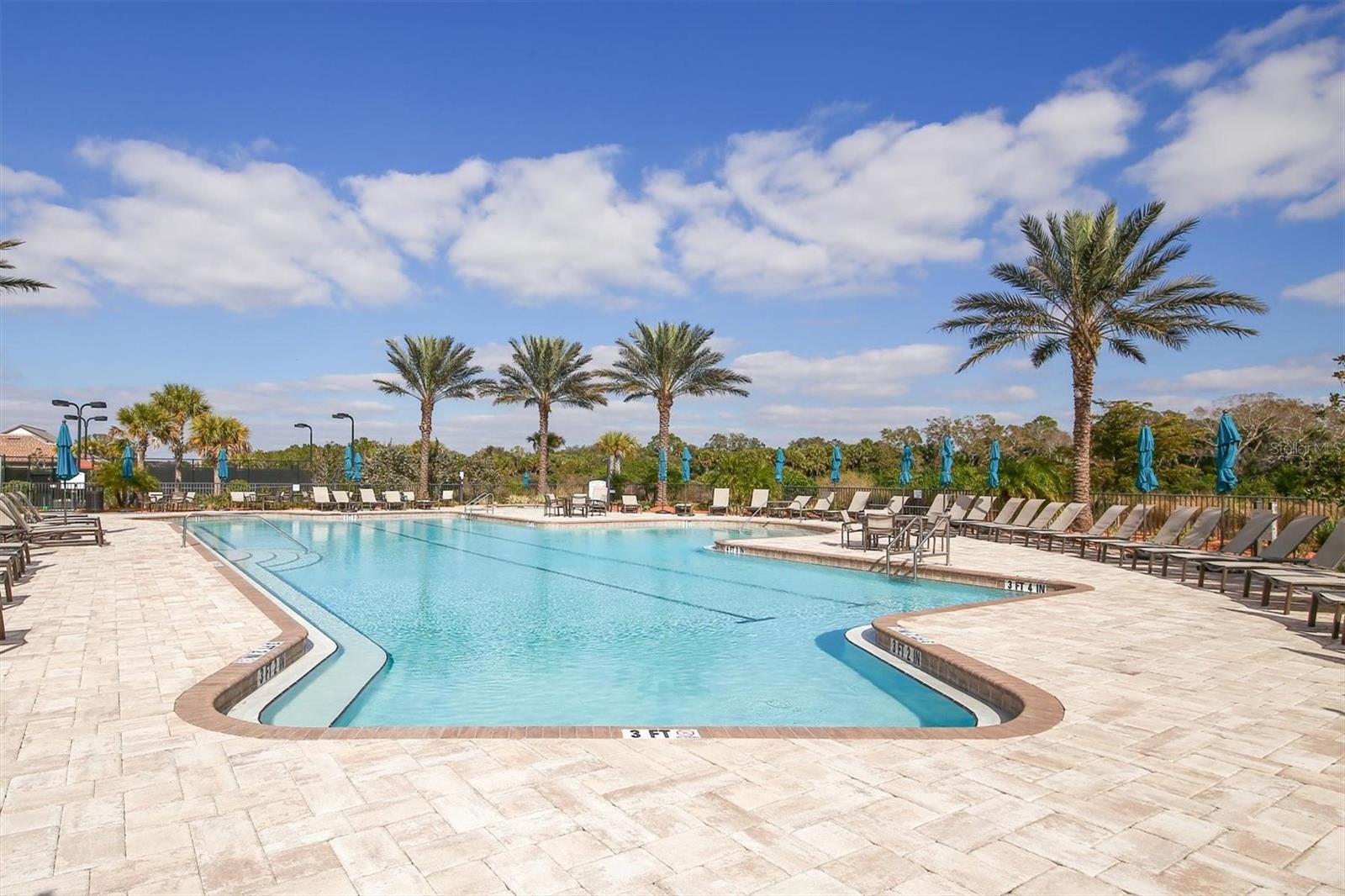 Image 62 of 78 For 11010 Sandhill Preserve Drive