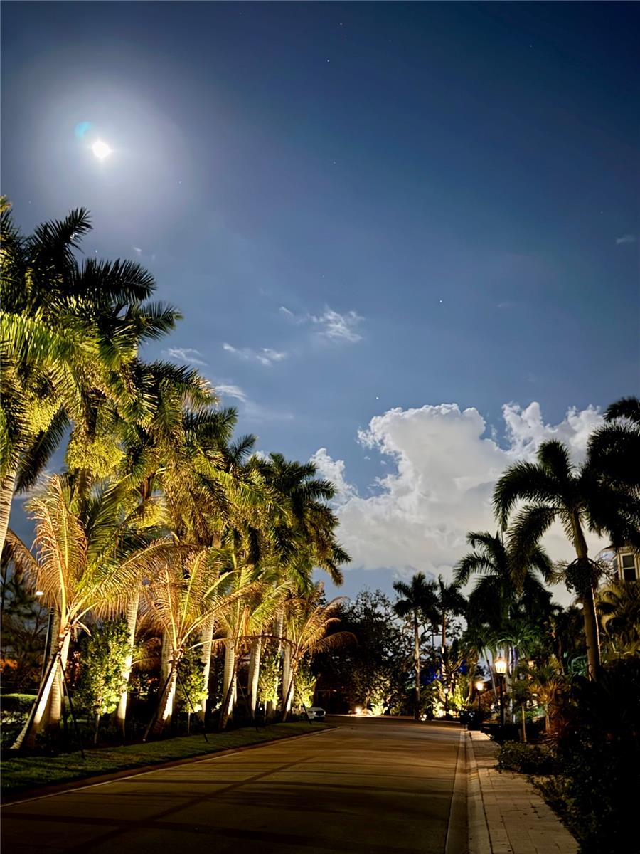 Image 56 of 90 For 1508 Bowlees Cove