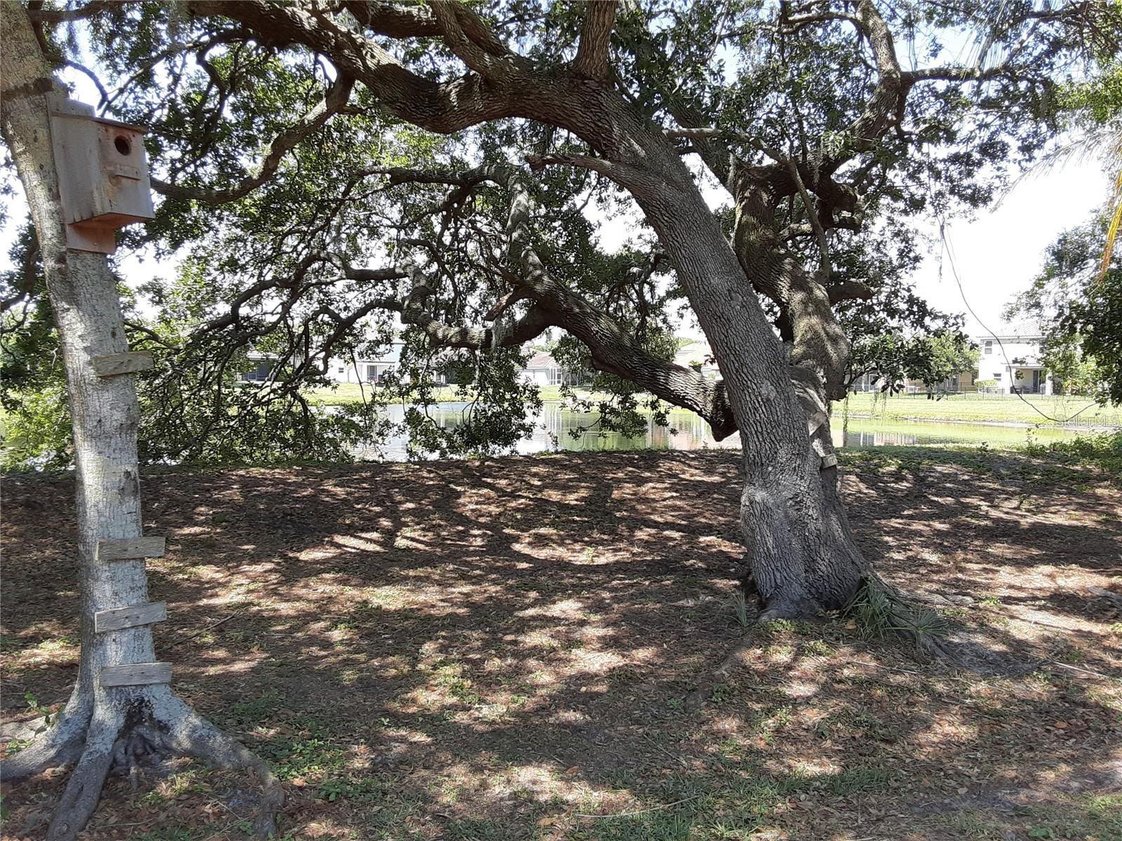 Image 23 of 25 For 5619 Colonial Oaks Boulevard