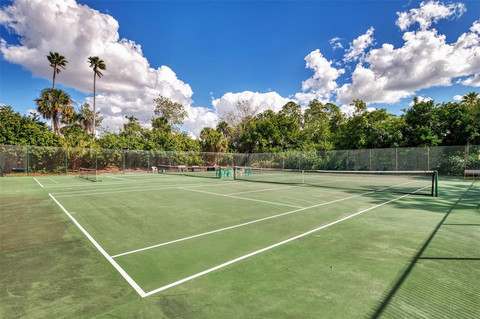 Image 30 of 34 For 129 Wild Palm Drive D