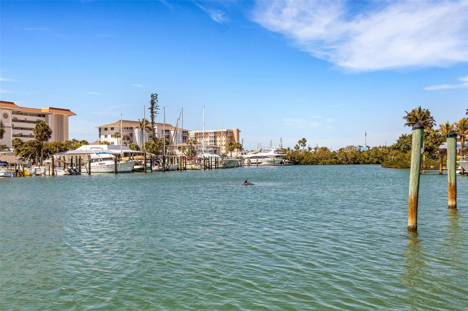 Image 45 of 56 For 700 El Dorado Drive