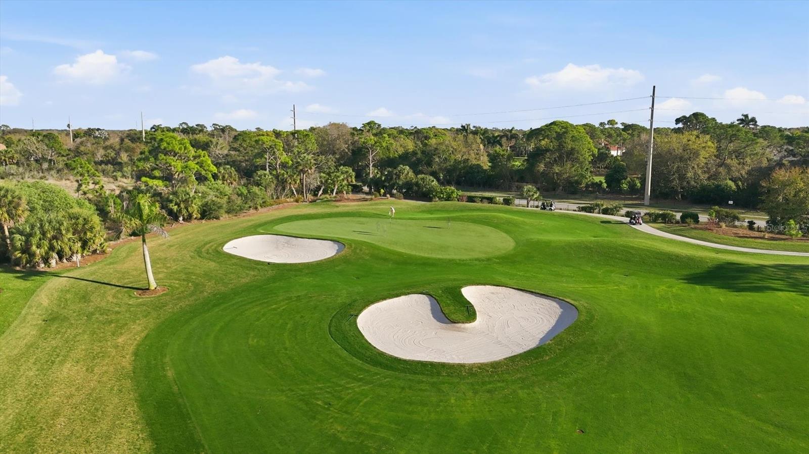 Image 38 of 71 For 9631 Castle Point Drive 1113