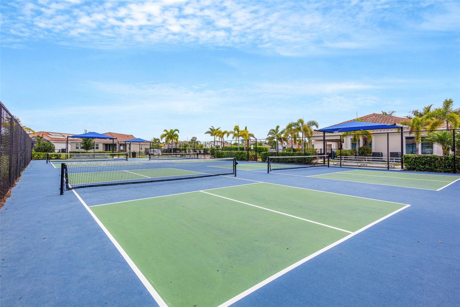 Image 74 of 89 For 617 Mistiflower Circle