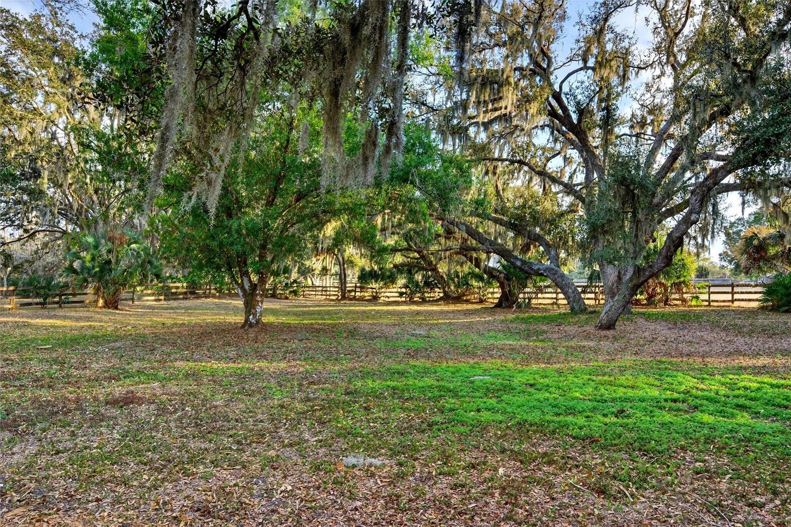 Image 63 of 88 For 7088 Saddle Creek Lane