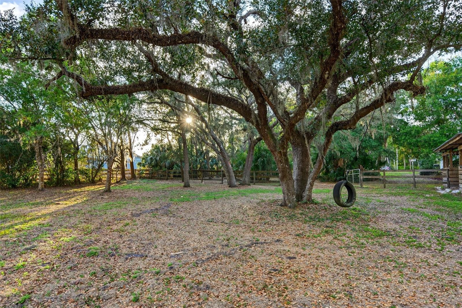 Image 64 of 88 For 7088 Saddle Creek Lane