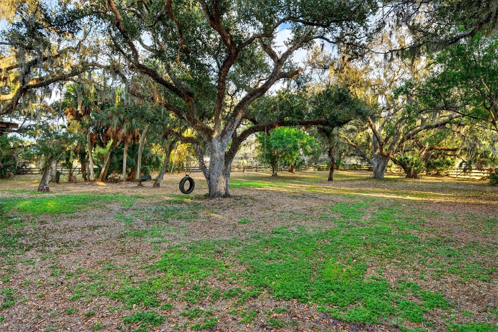 Image 65 of 88 For 7088 Saddle Creek Lane