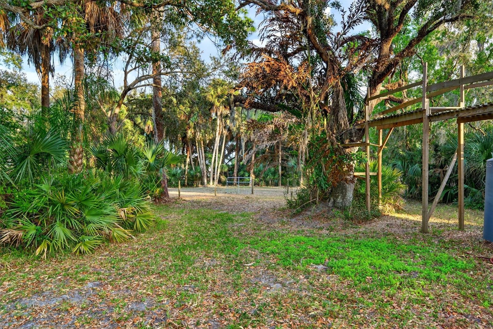 Image 69 of 88 For 7088 Saddle Creek Lane