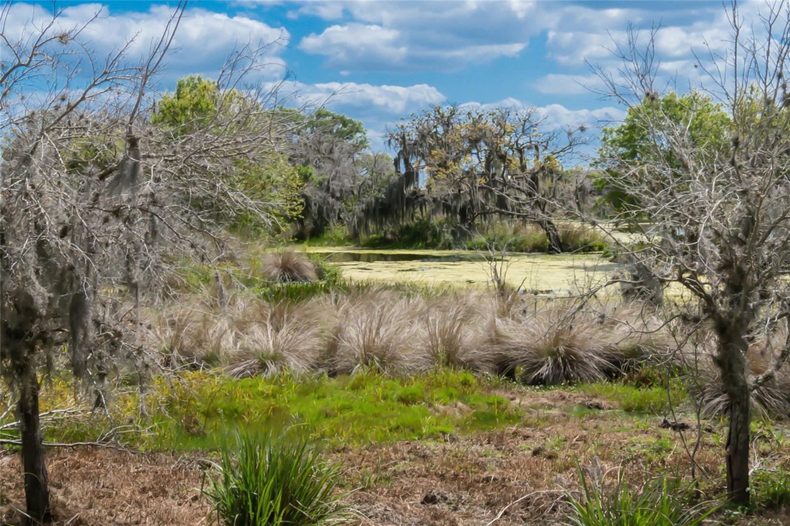 Image 71 of 72 For 12002 Forest Park Circle