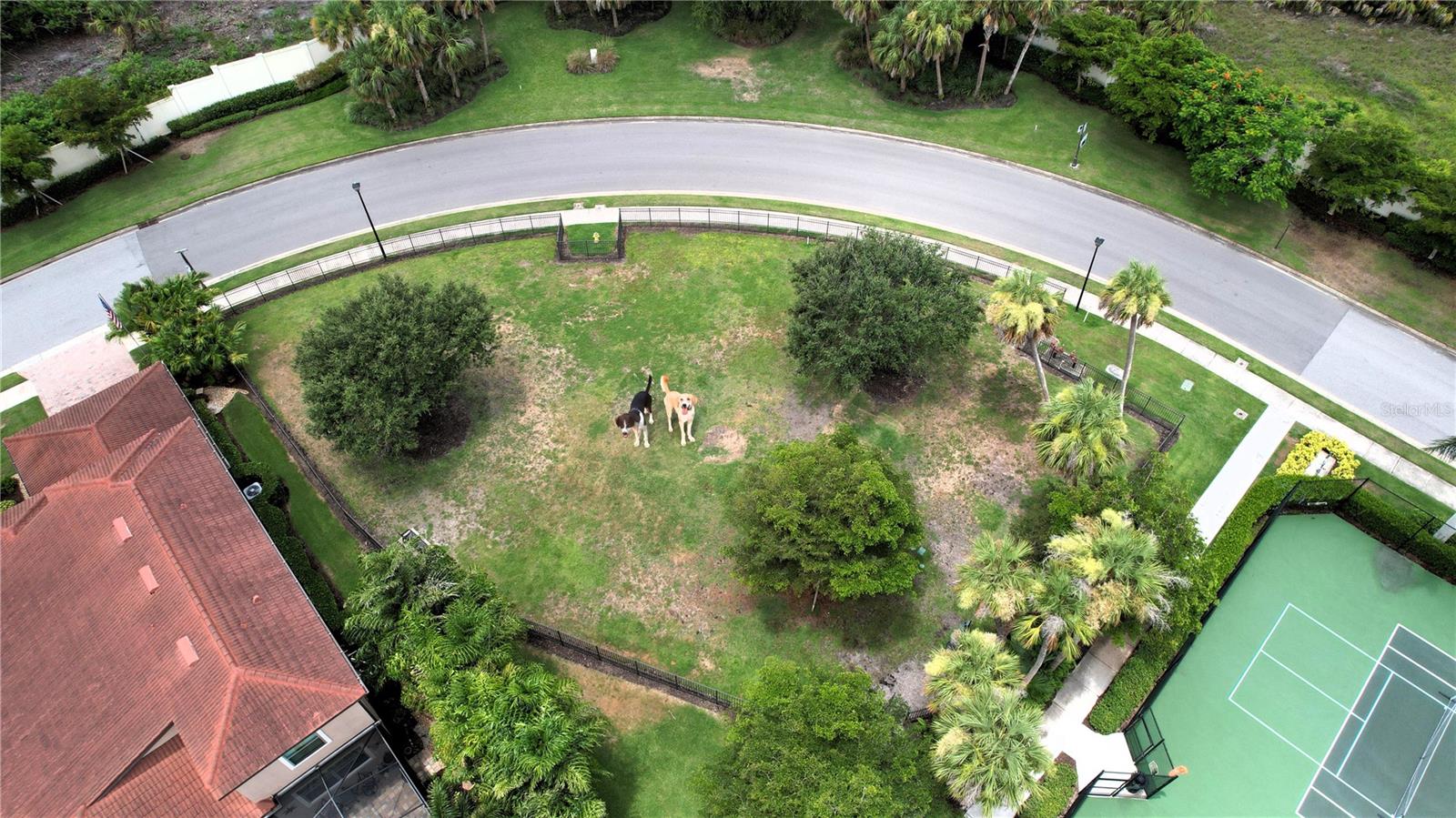 Image 33 of 41 For 264 Soliera Street