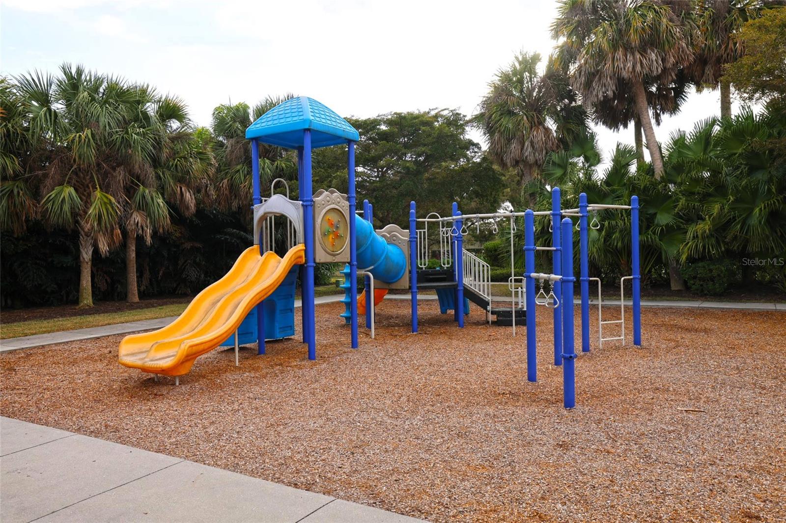 Image 37 of 41 For 264 Soliera Street