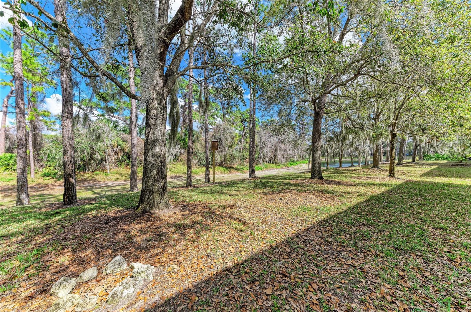 Image 39 of 52 For 8160 Villa Grande Ct