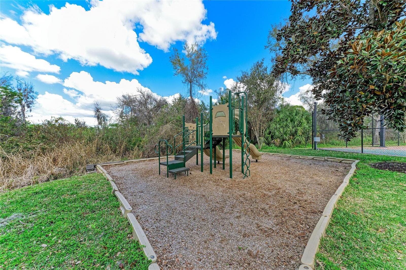 Image 43 of 52 For 8160 Villa Grande Ct