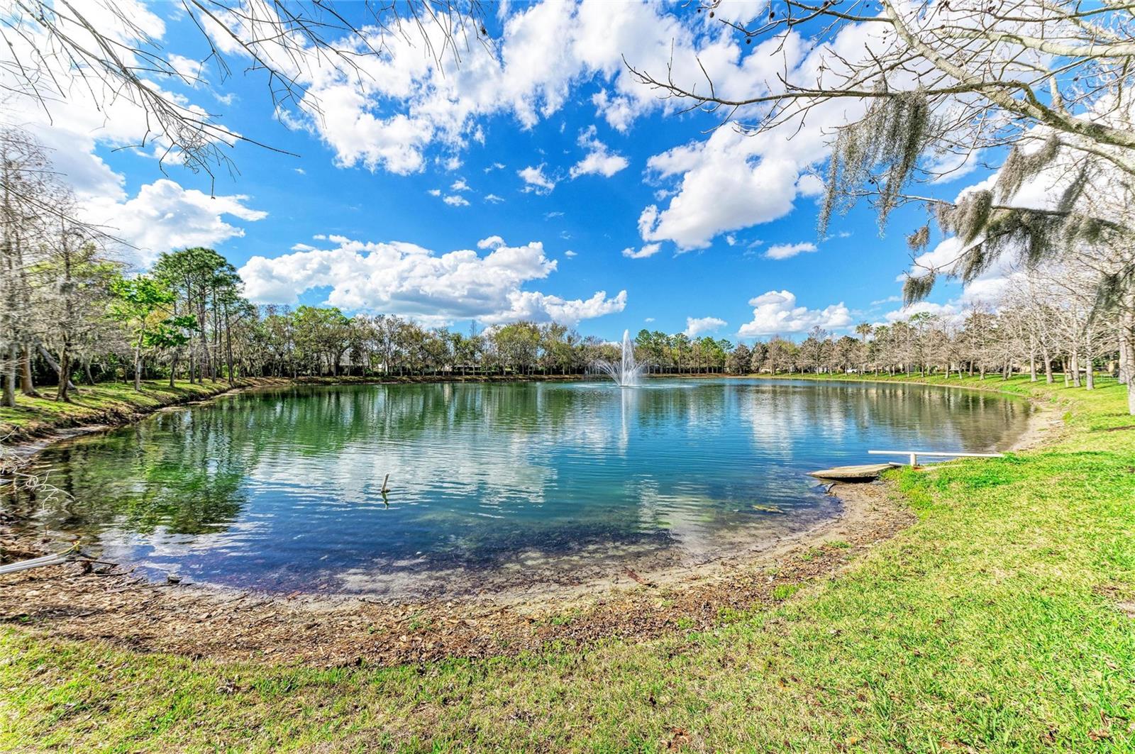 Image 47 of 52 For 8160 Villa Grande Ct