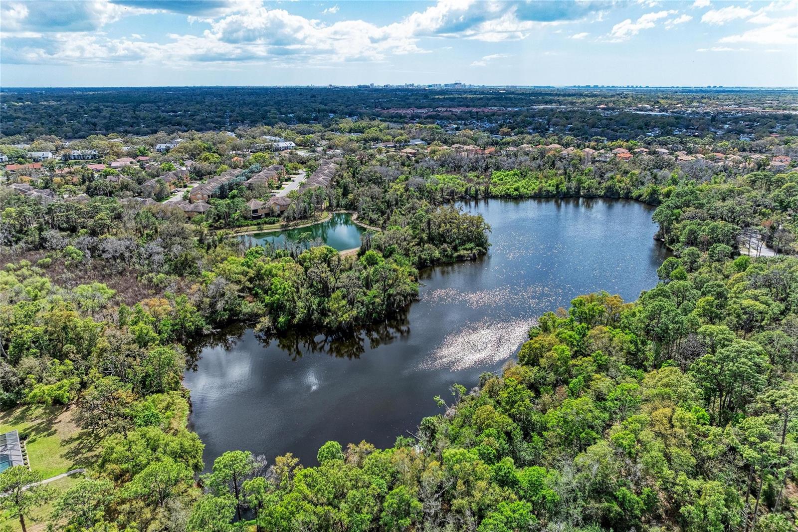 Image 50 of 52 For 8160 Villa Grande Ct