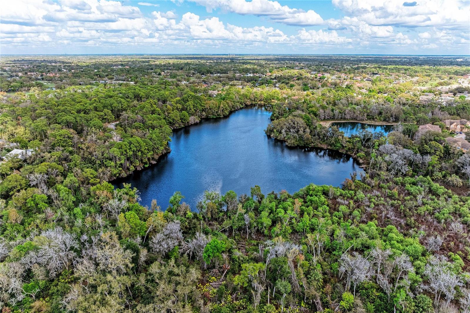 Image 52 of 52 For 8160 Villa Grande Ct