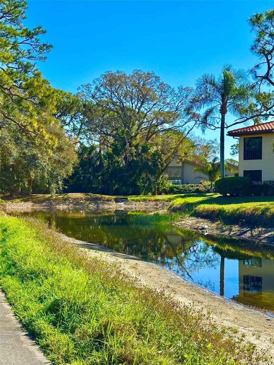 Image 34 of 51 For 5228 Willow Links  76