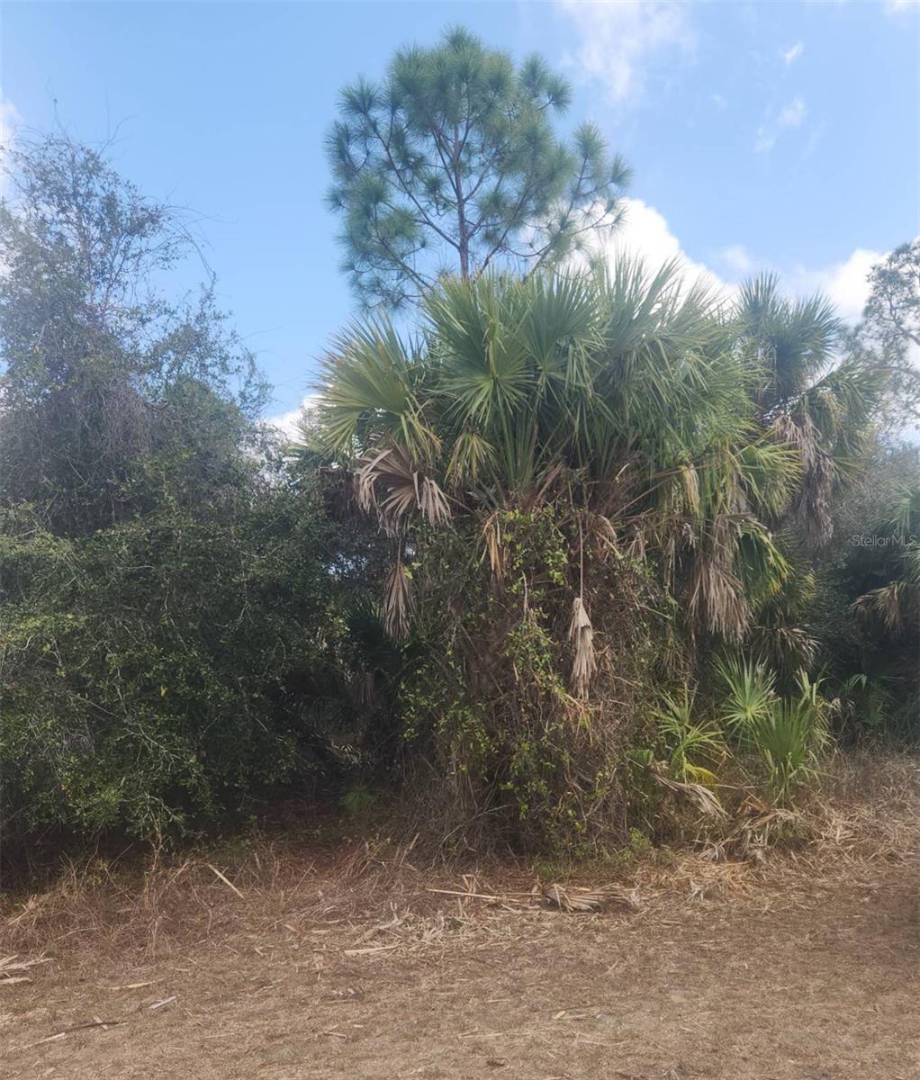 Image 5 of 5 For San Mateo Drive