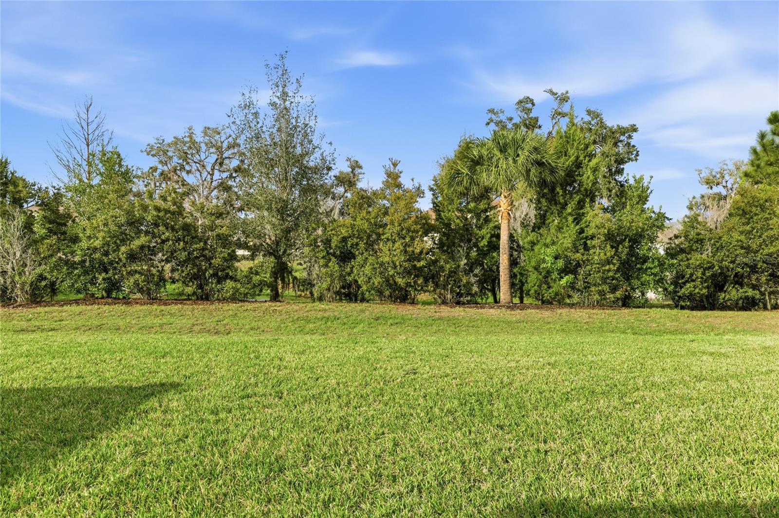 Listing photo id 34 for 12959 Seasong Terrace