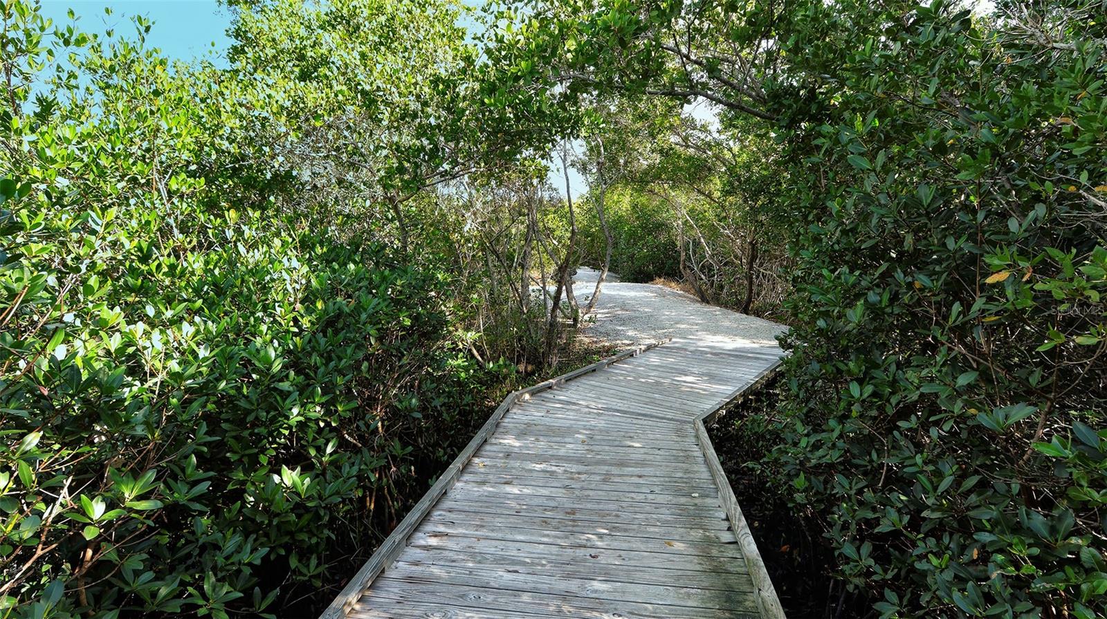 Image 44 of 53 For 729 Saint Judes Drive S 3