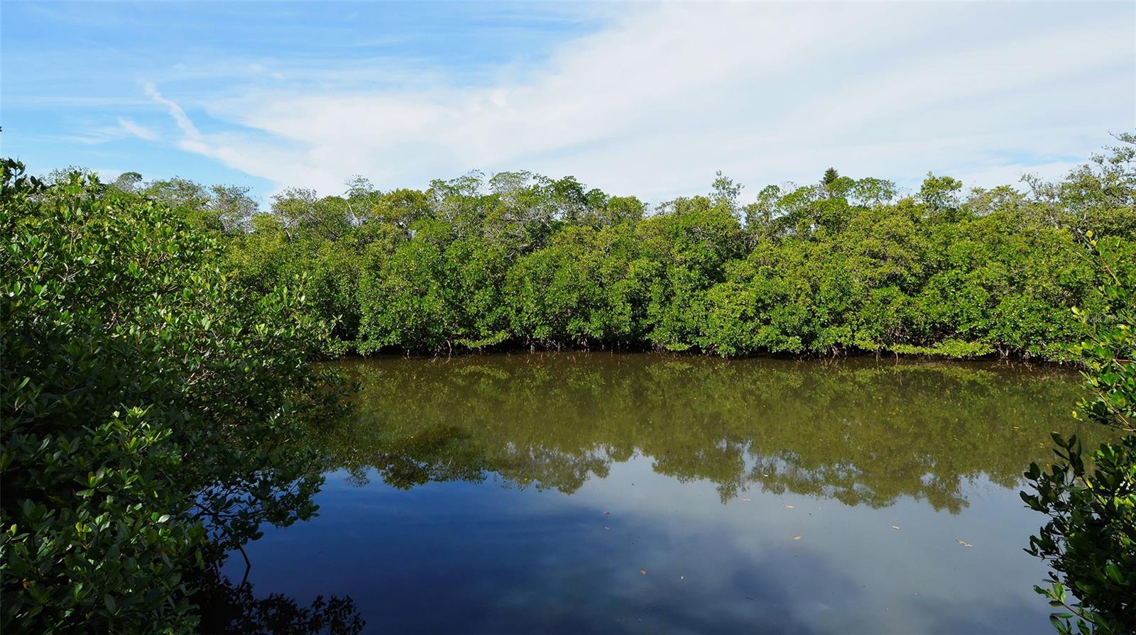 Image 45 of 53 For 729 Saint Judes Drive S 3