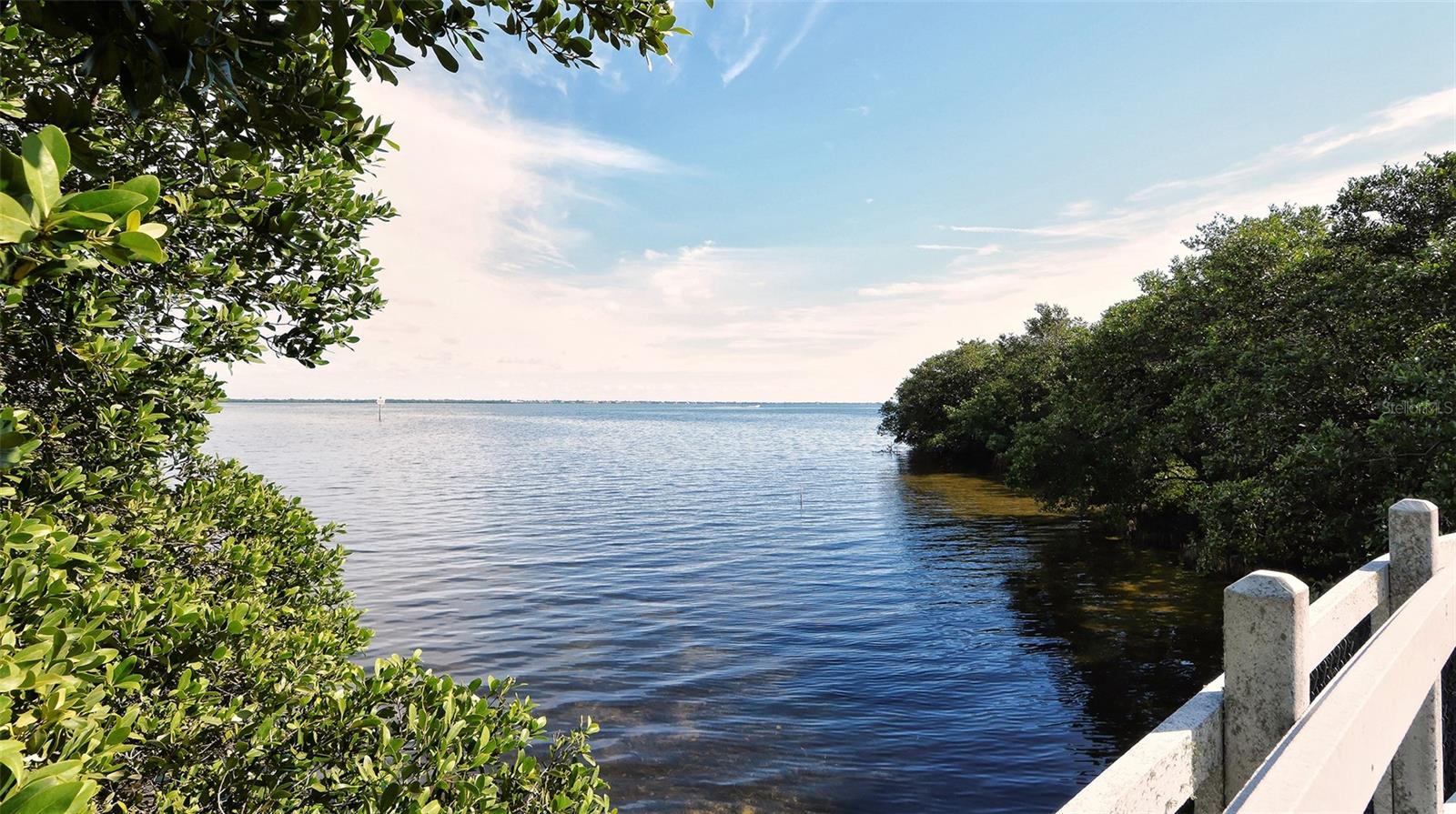 Image 50 of 53 For 729 Saint Judes Drive S 3