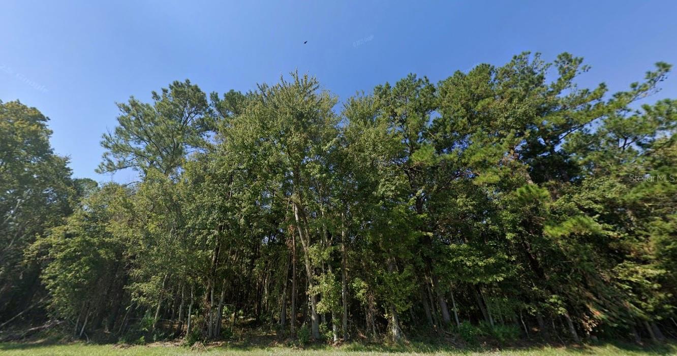 Image 2 of 6 For 11228 Us Hwy 301