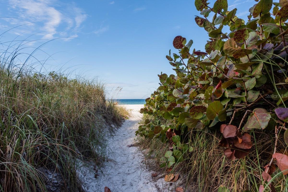 Image 22 of 24 For 2312 Gulf Drive N 103