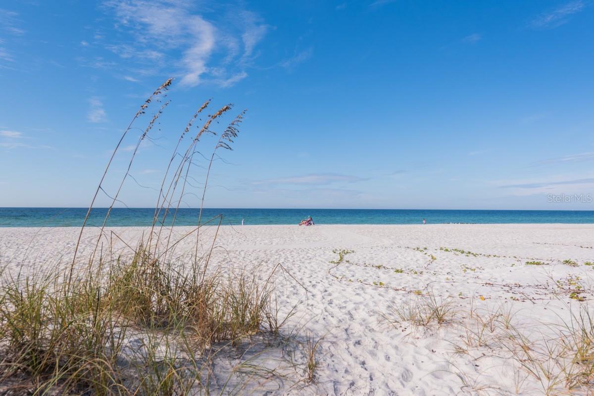 Image 23 of 24 For 2312 Gulf Drive N 103