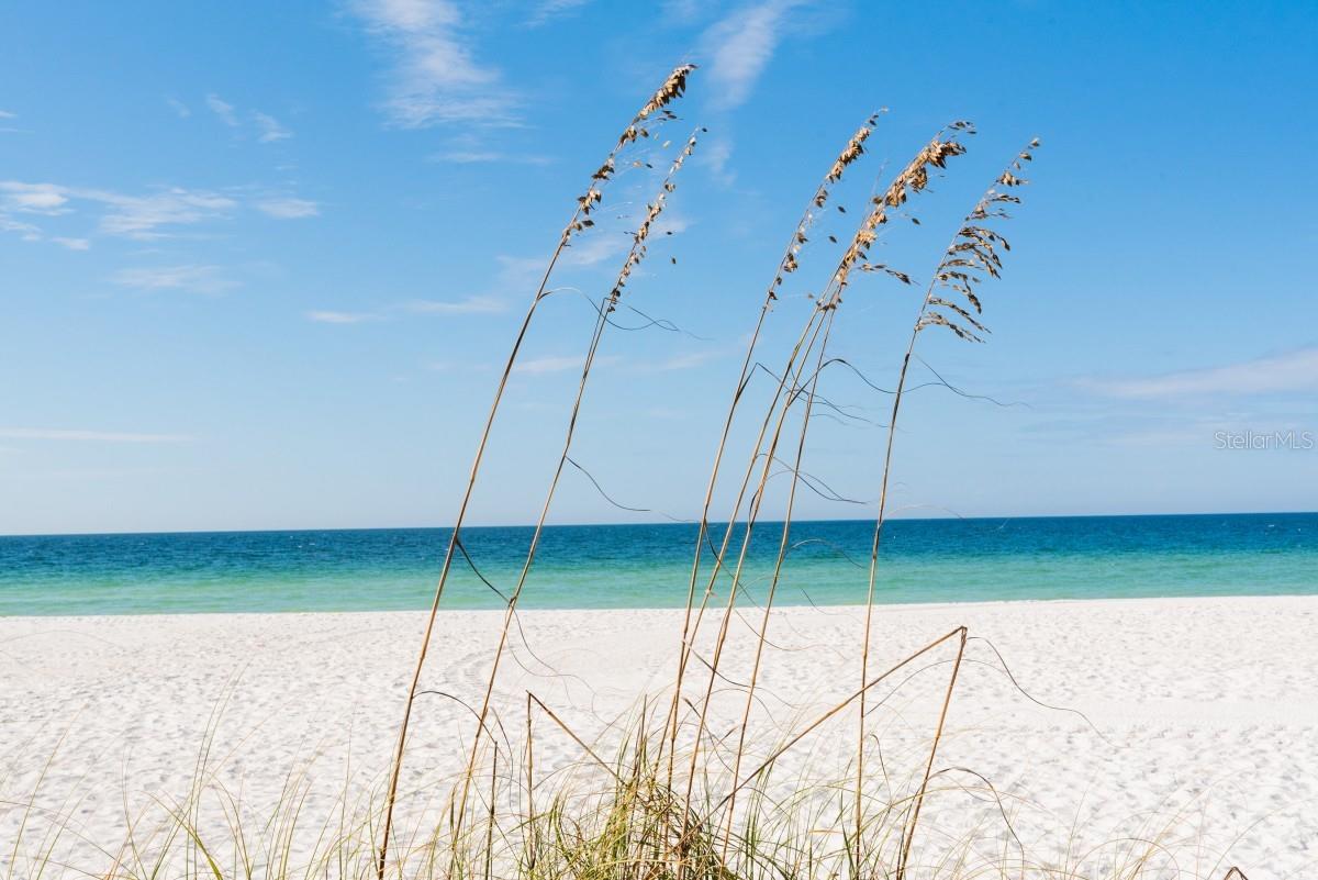 Image 24 of 24 For 2312 Gulf Drive N 103