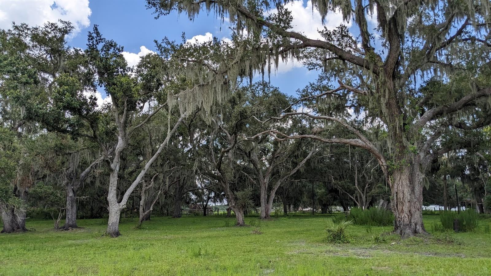 Image 10 of 12 For 12980 And 12990 River Road