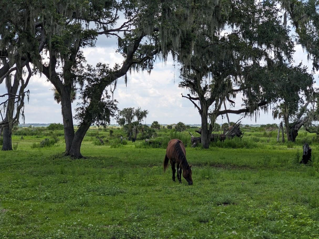 Image 7 of 12 For 12980 And 12990 River Road