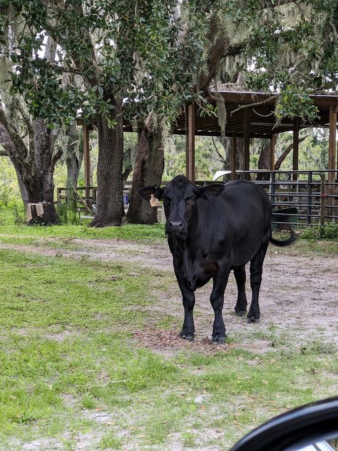 Image 8 of 12 For 12980 And 12990 River Road