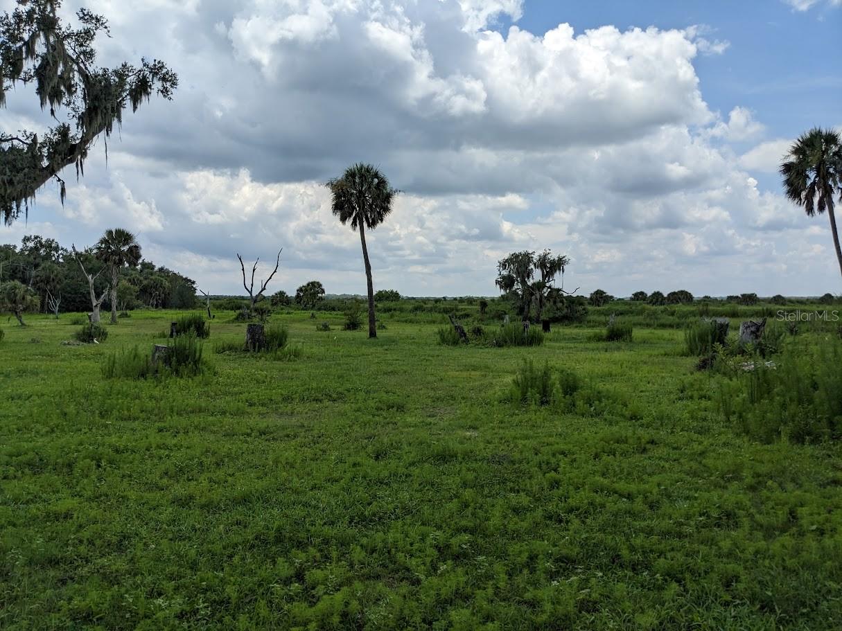 Image 9 of 12 For 12980 And 12990 River Road