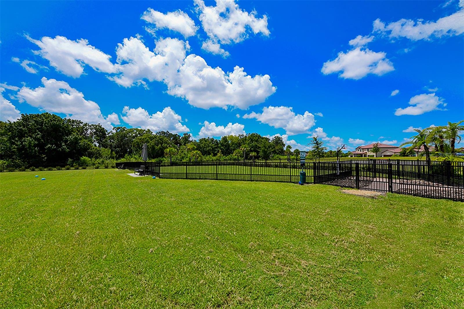 Image 66 of 67 For 13720 Saw Palm Creek Trail