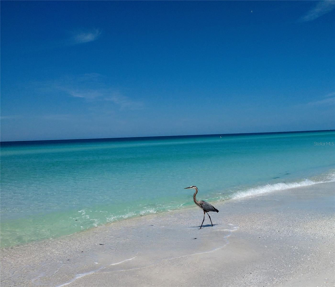 Image 45 of 48 For 3740 Pinebrook Circle 603