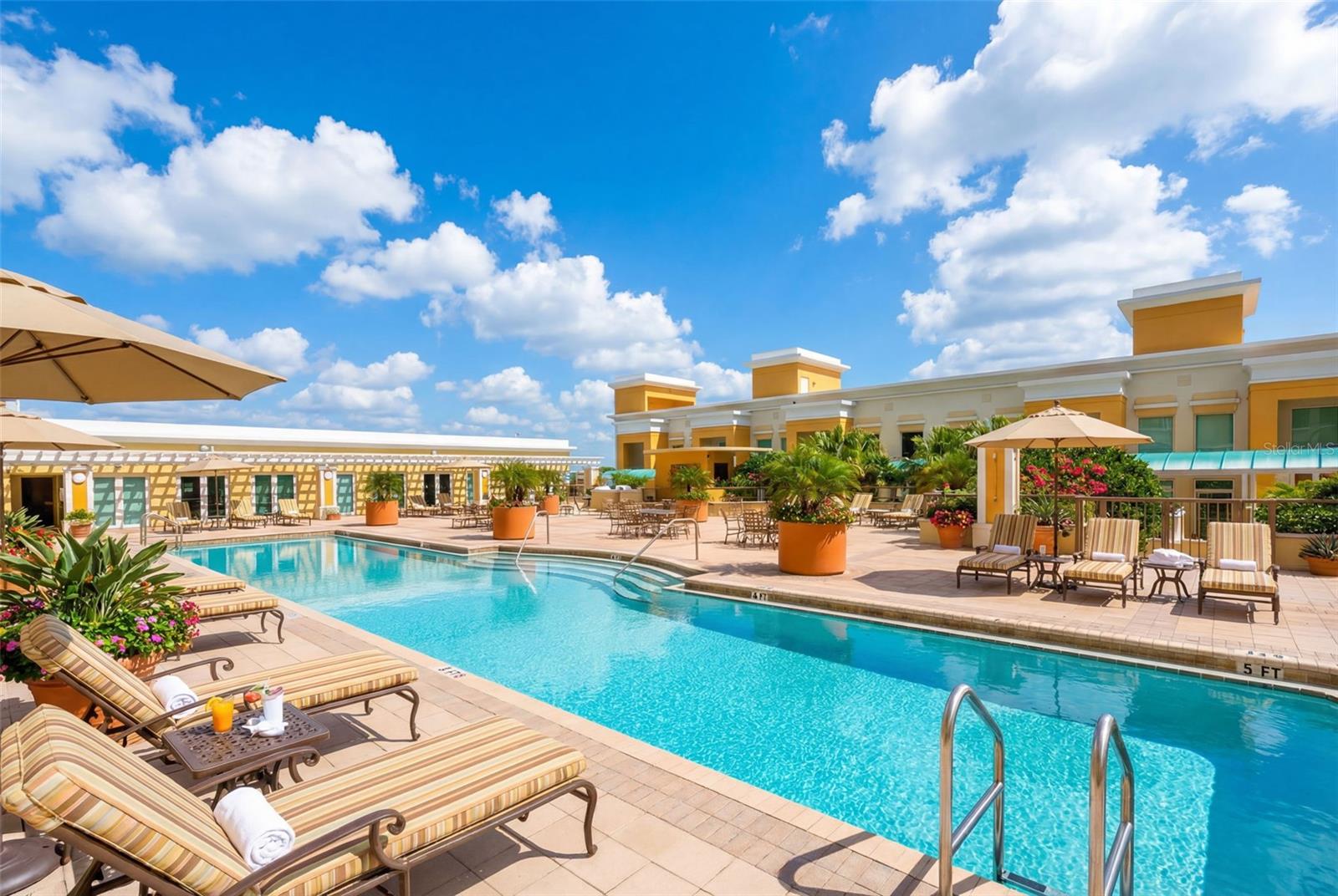 Image 50 of 60 For 800 Tamiami Trail 1217