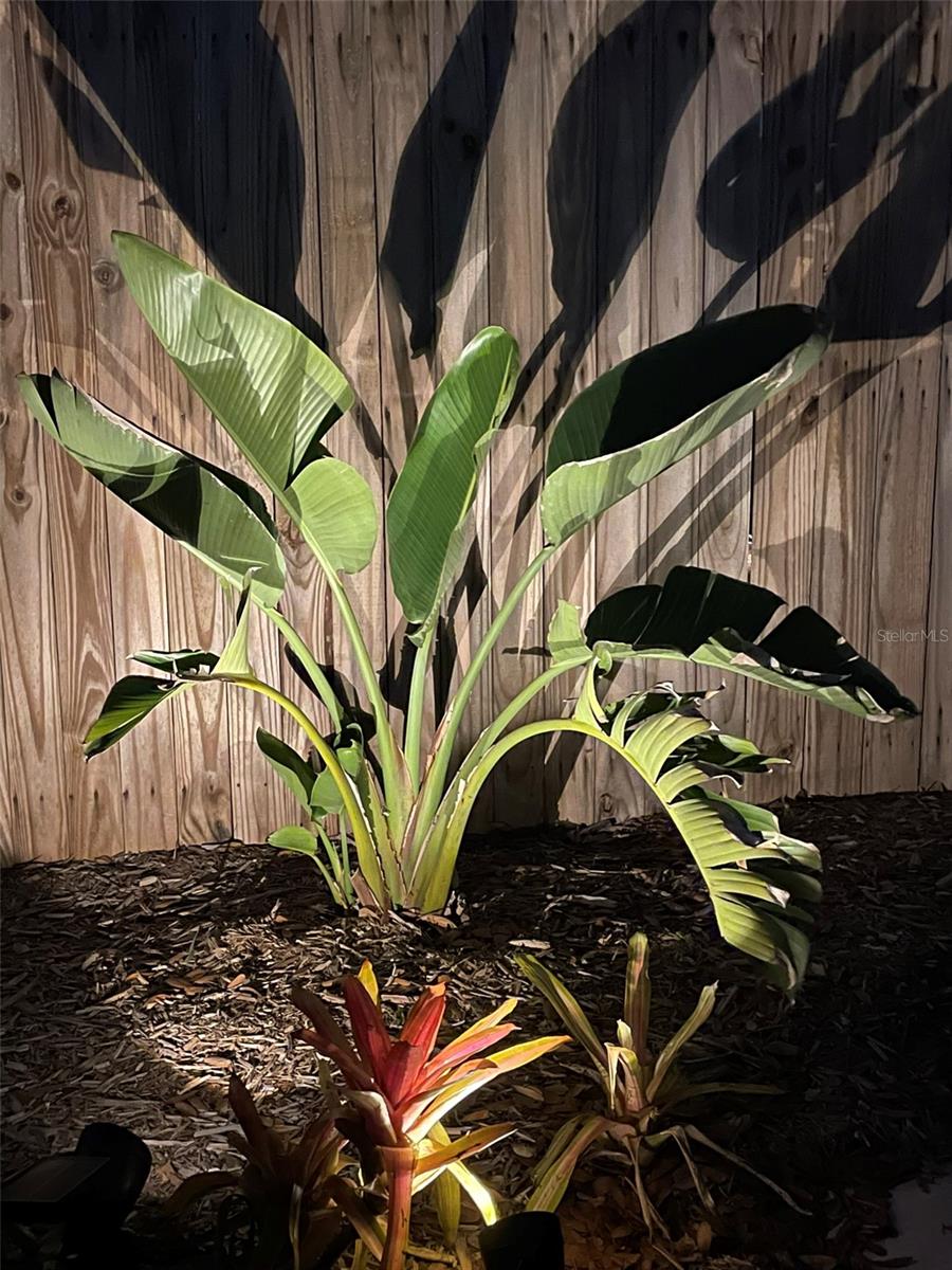 Image 48 of 75 For 828 Tuttle Avenue