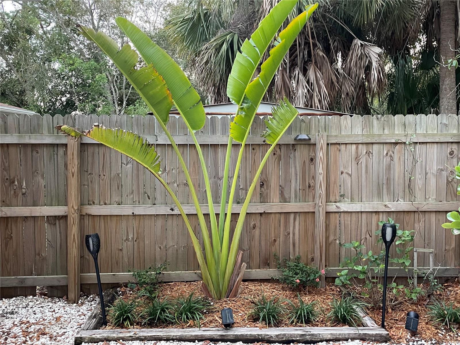 Image 49 of 75 For 828 Tuttle Avenue