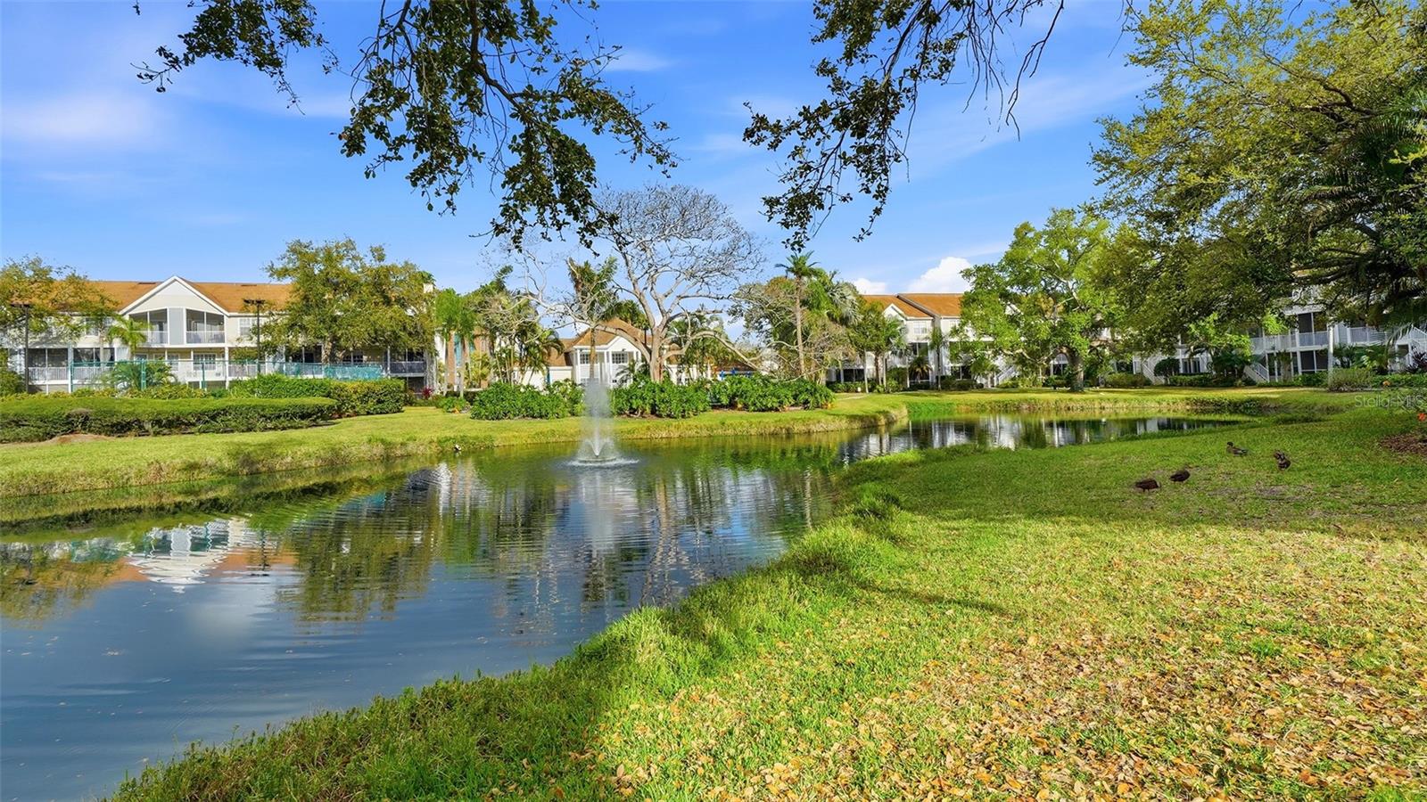 Image 21 of 43 For 850 Tamiami Trail 521