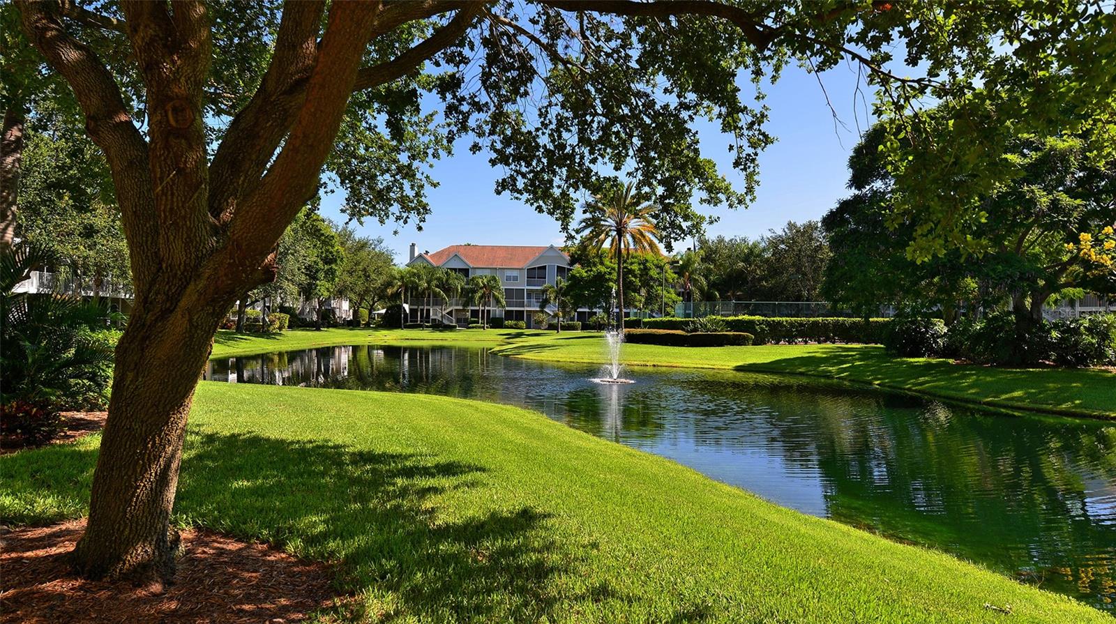 Image 41 of 43 For 850 Tamiami Trail 521