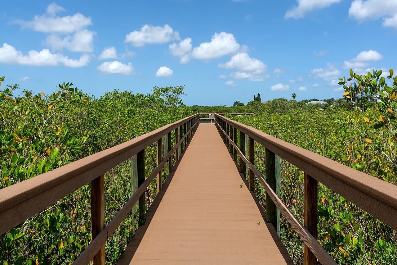 Image 38 of 41 For 1428 Blue Horizon Circle