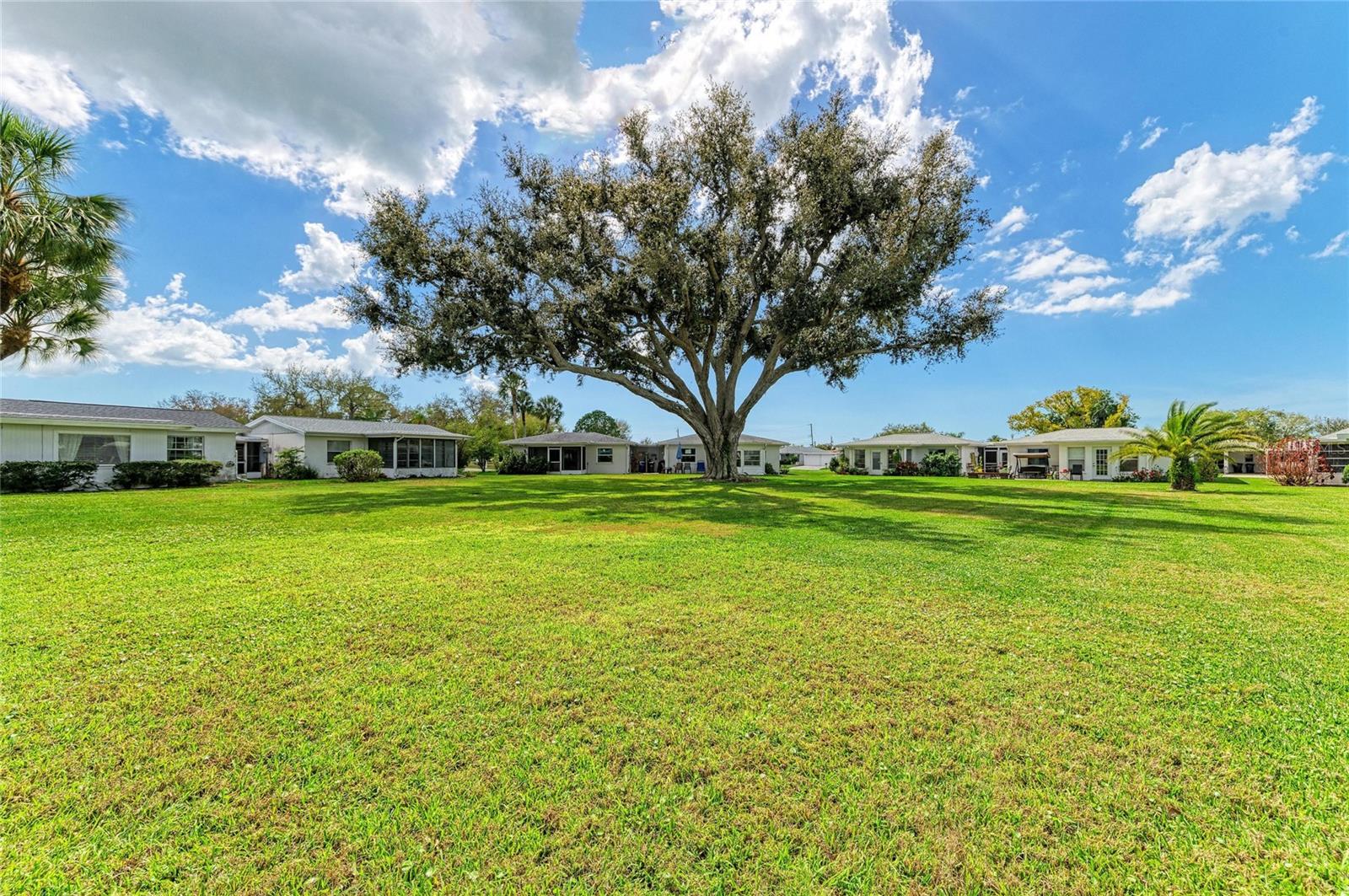 Image 36 of 36 For 3311 Fuller Street 104