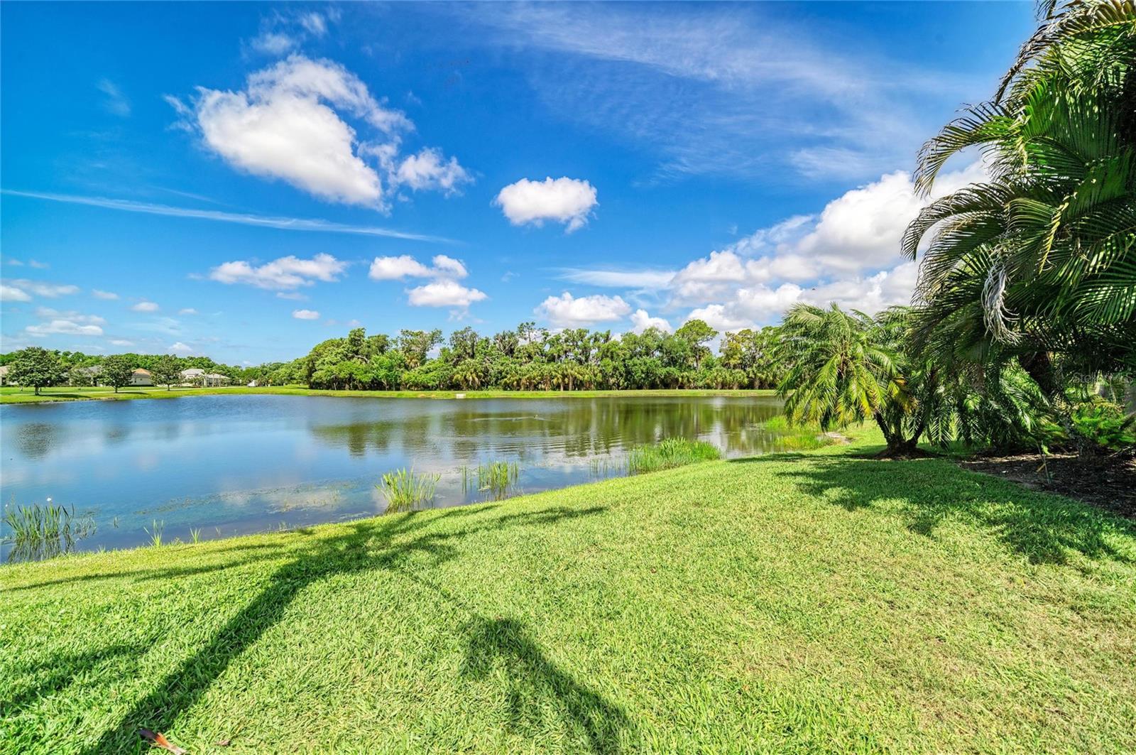 Image 65 of 94 For 826 Honeyflower Loop